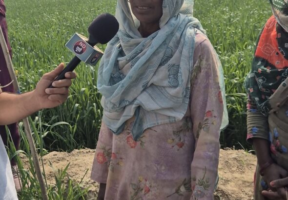 Screenshot_20260226_135255_Gallery