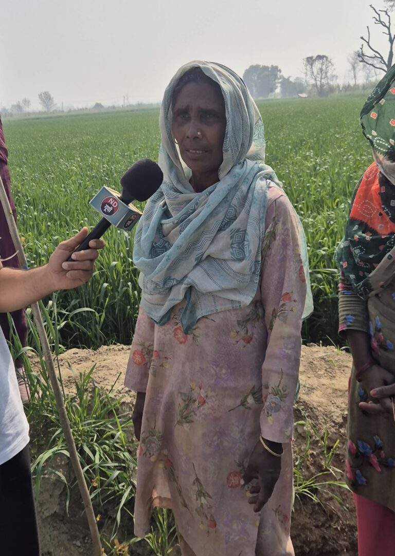 Screenshot_20260226_135255_Gallery